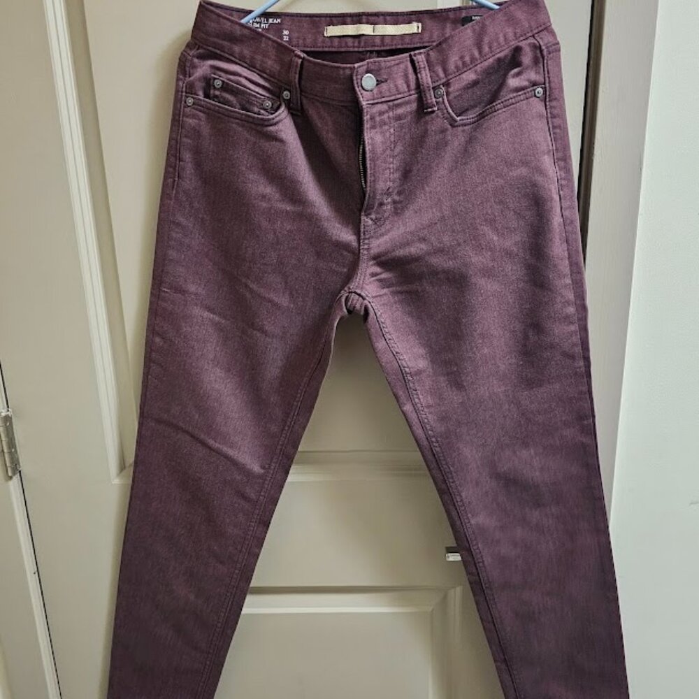 Banana Republic Travel Jean